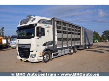 Camião de transporte de cavalos DAF XF 460