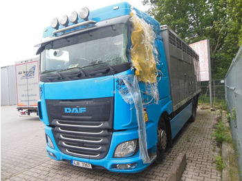 Camião transporte de gado DAF XF 106 460