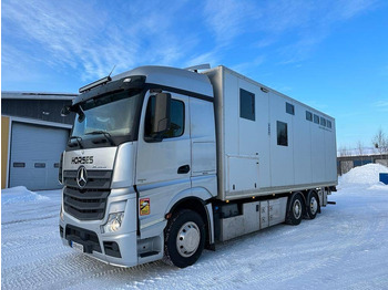 Camião transporte de gado MERCEDES-BENZ Actros