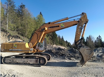 Escavadora de rastos LIEBHERR R 954